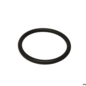angst-pfister-A19.302033.001-o-ring-seal-(new)