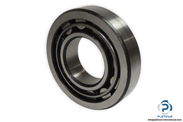 zkl-NJ-313-B-NA-cylindrical-roller-bearing-used-1