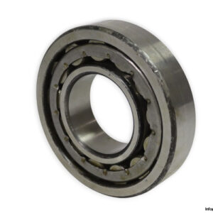urb-NJ-313-E-P6-cylindrical-roller-bearing-new-1