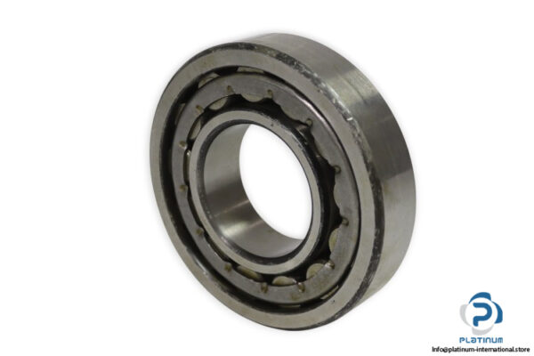 urb-NJ-313-E-P6-cylindrical-roller-bearing-new-1