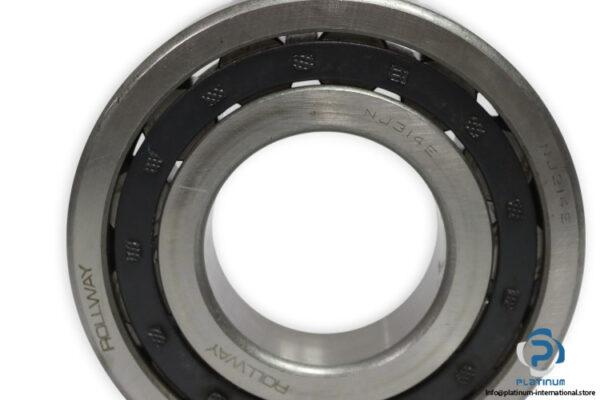 rollway-NJ-314-E-cylindrical-roller-bearing-new-2