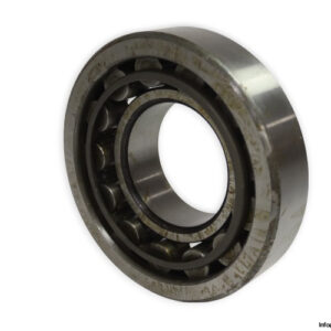 riv-17DB_Q-cylindrical-roller-bearing-used