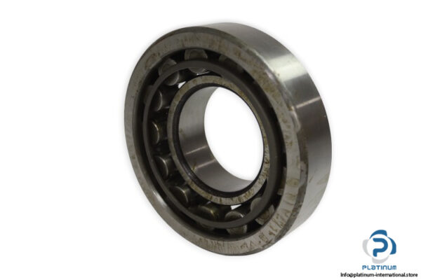 riv-17DB_Q-cylindrical-roller-bearing-used
