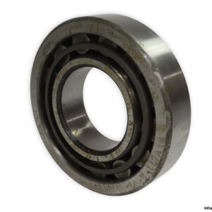 riv-17DB_Q-cylindrical-roller-bearing-used-1