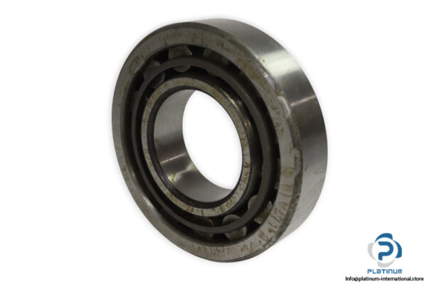 riv-17DB_Q-cylindrical-roller-bearing-used-1