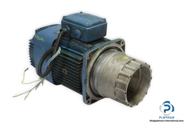 demag-KMH-112-B-2_3-motor-used