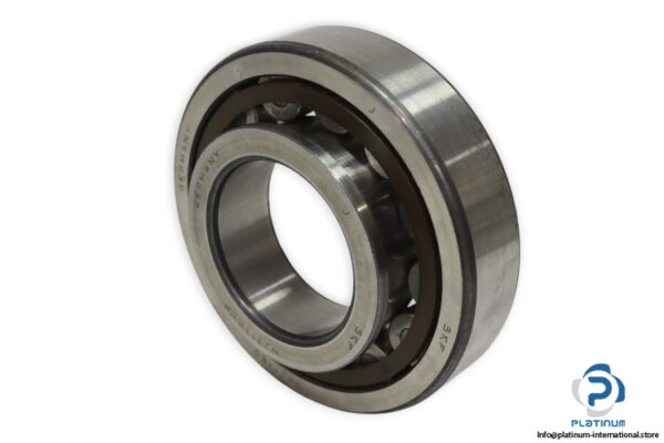 skf-NJ-313-ECP-cylindrical-roller-bearing-new