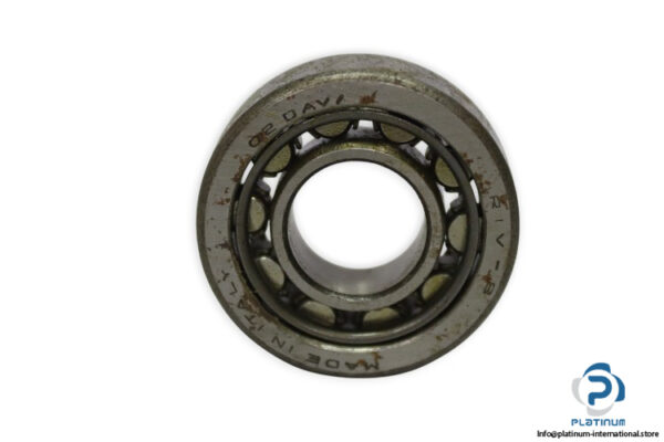 riv-NU-202-cylindrical-roller-bearing-new-carton-2