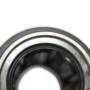 skf-LCAN-30-2LS-linear-ball-bearing-new-carton-1