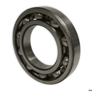 riv-21A_6226-deep-groove-ball-bearing-new