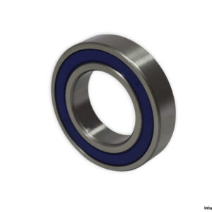 ems-6007-2RS-deep-groove-ball-bearing-new