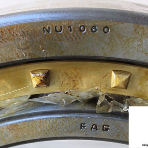 fag-nu1060-cylindrical-roller-bearing-1