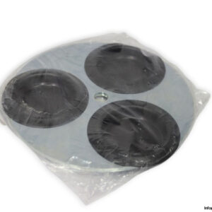 041584-timing-disc(new)