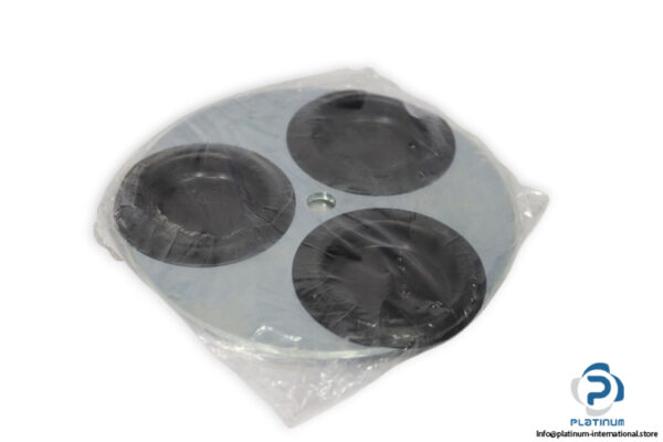 041584-timing-disc(new)