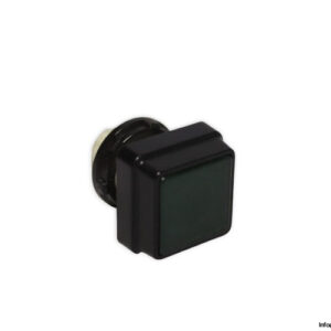 telemecaniqu-D5A2G-push-button(new)
