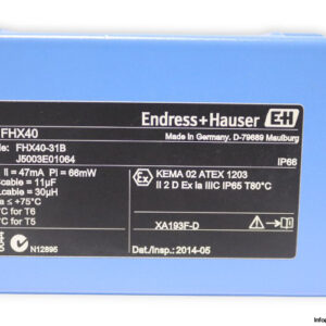 endress-hauser-FHX40-operator-display-(New)-5