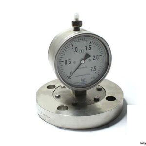 wika-EN1092-1-flanged-process-connection-with-pressure-gauge