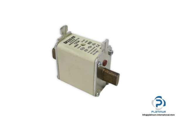 Lindner-NH00GG50V125-fuse-link(new)