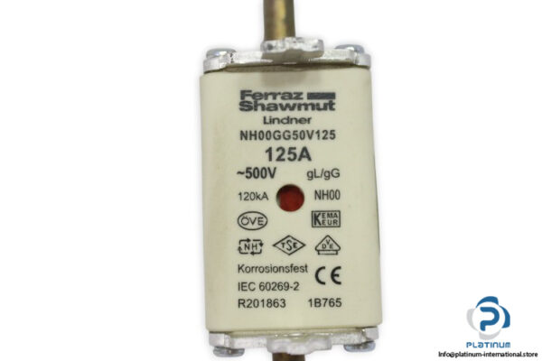 Lindner-NH00GG50V125-fuse-link(new)-1