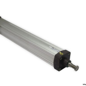 parker-P1D-S080MS-0600-iso-cylinder-(new)