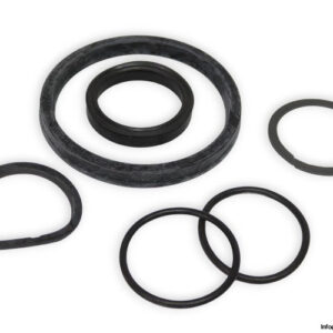 cascade-557012-seal-kit-(new)