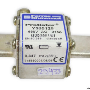 ferraz-shawmut-Y300125-fuse-link-(New)-2