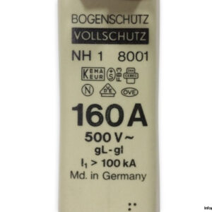Bogenschutz-NH1GLGI-160A-500v-fuse-link(new)-1