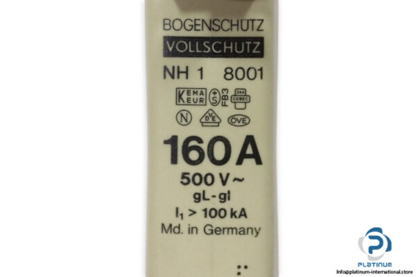 Bogenschutz-NH1GLGI-160A-500v-fuse-link(new)-1