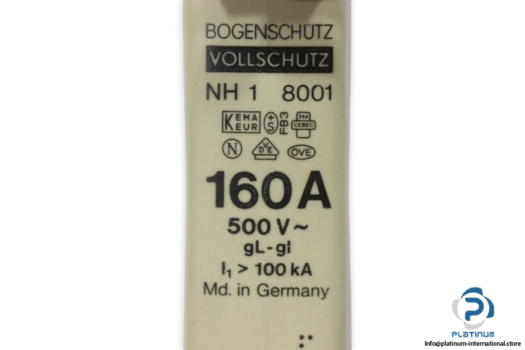 Bogenschutz-NH1GLGI-160A-500v-fuse-link(new)-1