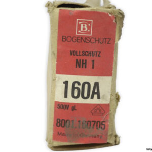 Bogenschutz-NH1GLGI-160A-500v-fuse-link(new)-3