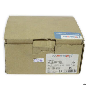 Ferraz-shawmut-nh1gg50v200-200a-500v-fuse-link(new)-2