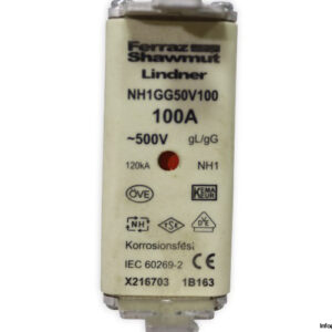 Ferraz-shawmut-nh1gg50v100-100a-500v-fuse-link(new)-1