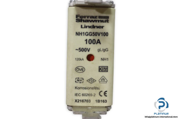 Ferraz-shawmut-nh1gg50v100-100a-500v-fuse-link(new)-1
