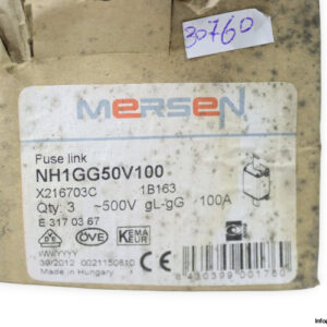 Ferraz-shawmut-nh1gg50v100-100a-500v-fuse-link(new)-3