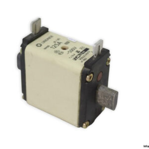 Lindner-1f765-125a-500vac-fuse-link(new)