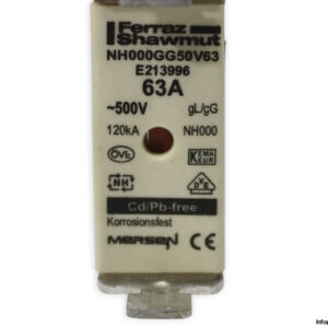 ferraz-shawmut-NH000GG50V63-fuse-link-(New)-1