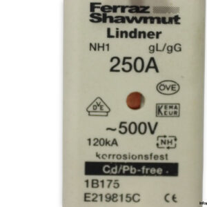 ferraz-shawmut-1B175_E219815C-fuse-link-(New)-2