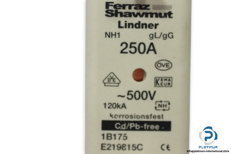 ferraz-shawmut-1B175_E219815C-fuse-link-(New)-2
