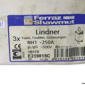 ferraz-shawmut-1B175_E219815C-fuse-link-(New)-3