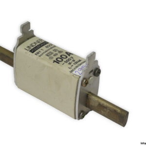 lindner-NH1-8001-gl-gi-100a-fuse-link-(New)