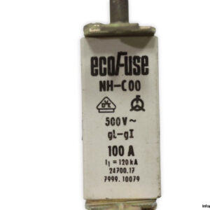 ecofuse-NH-C00-GL-GI-100a-fuse-link-(New)-1
