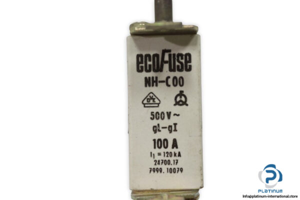 ecofuse-NH-C00-GL-GI-100a-fuse-link-(New)-1