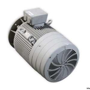 siemens-1LG4-186-4AA61-Z-three-phase-e-motor-new-1
