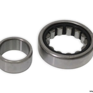 ask-NU-205-E-cylindrical-roller-bearing-(new)