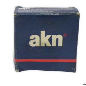 akn-6202-2Z_SS-deep-groove-ball-bearing-(new)-(carton)