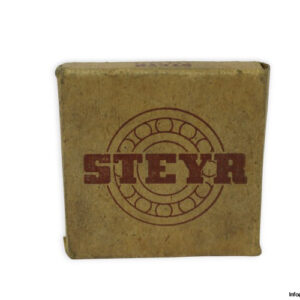 steyr-HJ-2206-cylindrical-roller-bearing-(new)-(carton)