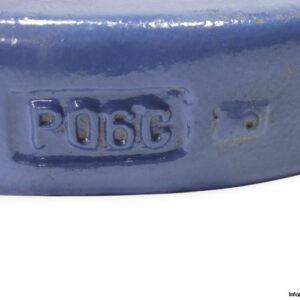 skf_cooper-P06-pillow-block-housing-unit-(new)-1