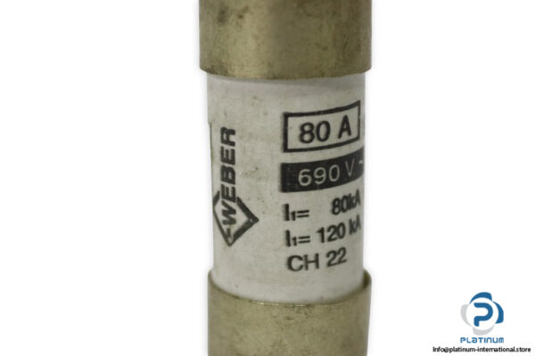 WEBER-1441080-cylindrical-fuse(new)-1