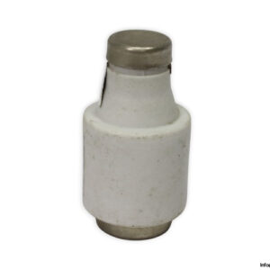 weber-DIII-cylindrical-fuse(new)