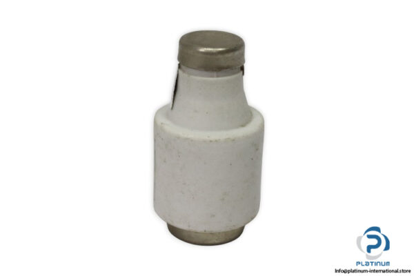 weber-DIII-cylindrical-fuse(new)